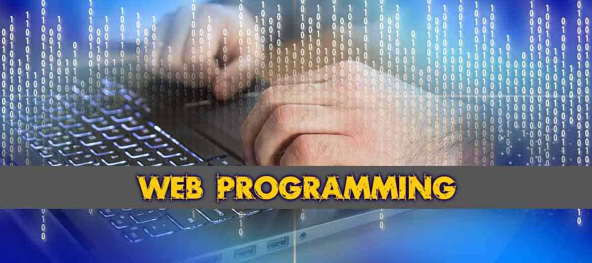 Web Programming Lab 20MCA133-B