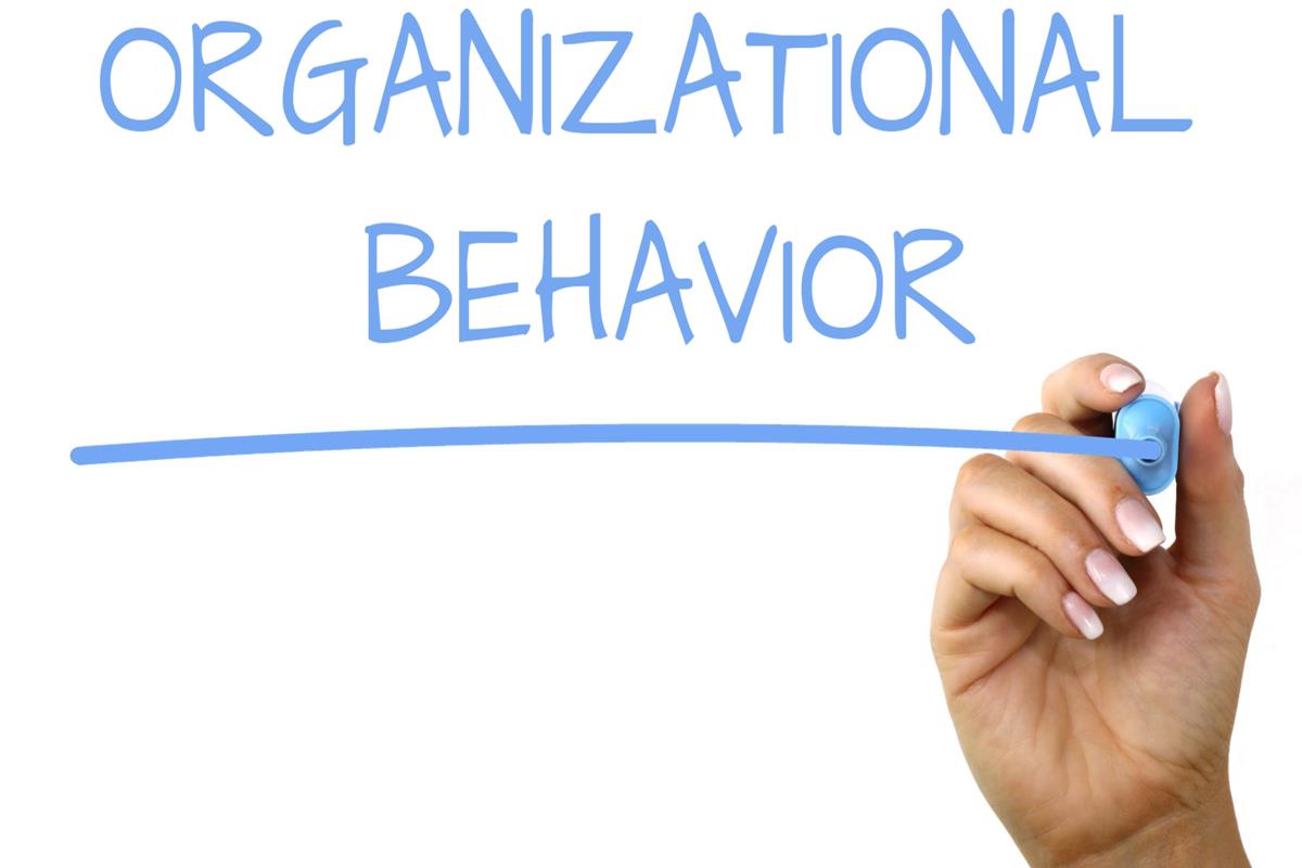 Organisational Behaviour  20MCA164