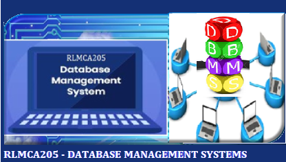 Database Management Systems  BRLMCA205